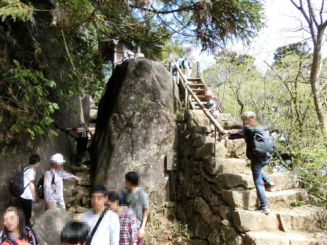 CIMG0107 (1)