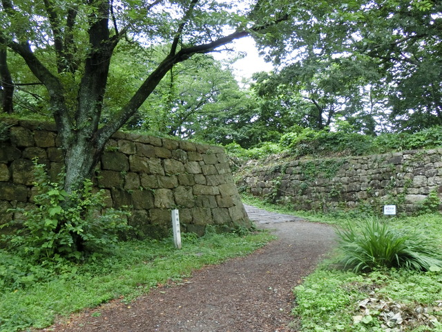 20190712_132614_CIMG2548