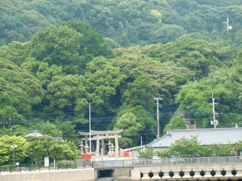 20150531_113458_CIMG4706