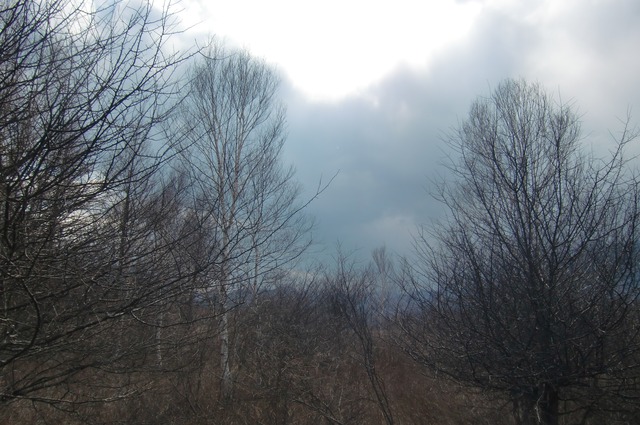 20170429_142227_CIMG9133