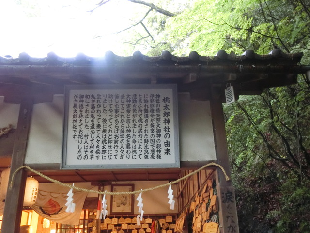 20190501_170300_CIMG0307