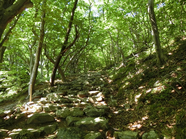 20190715_144205_CIMG3546