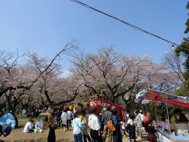 20180401_132853_CIMG8790