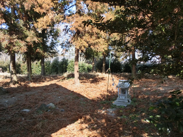 20190224_103141_CIMG6942