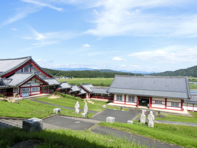 20190713_144208_CIMG2904