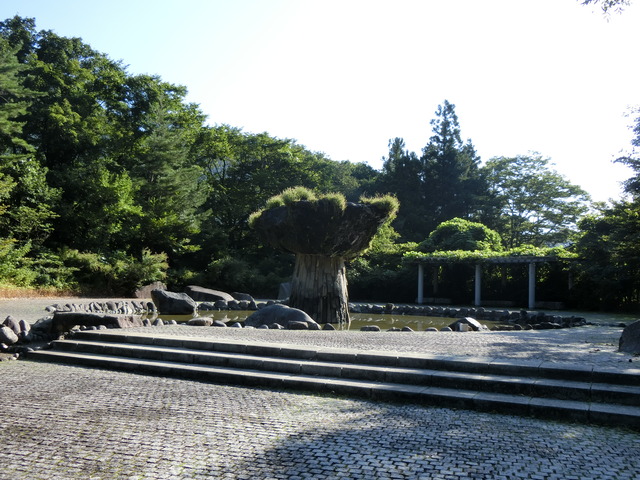 20190915_074328_CIMG5447