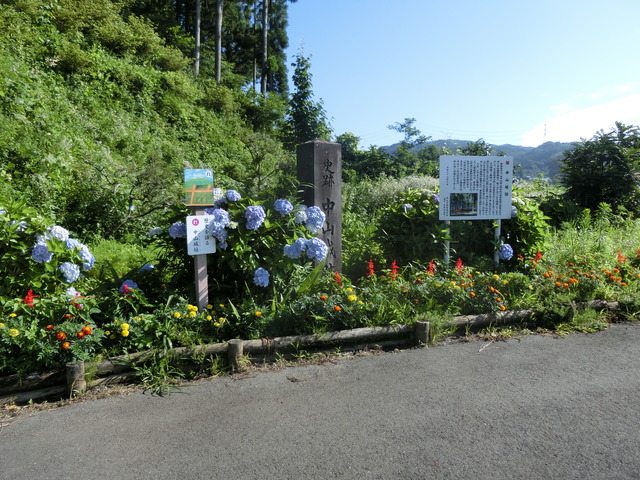20200719_074253_CIMG0332