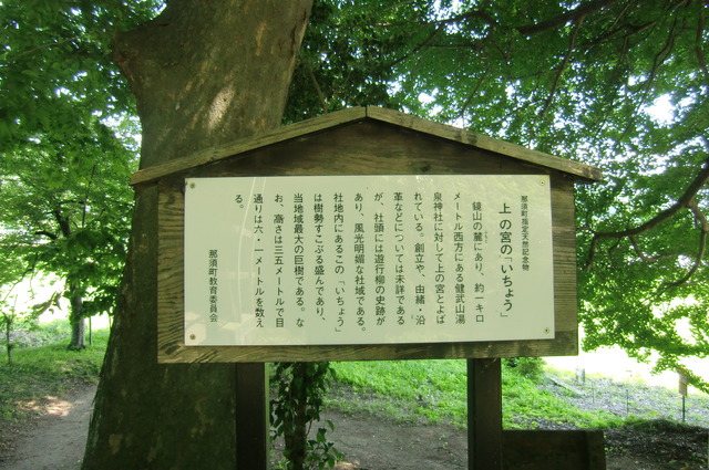 20170708_134101_CIMG1613