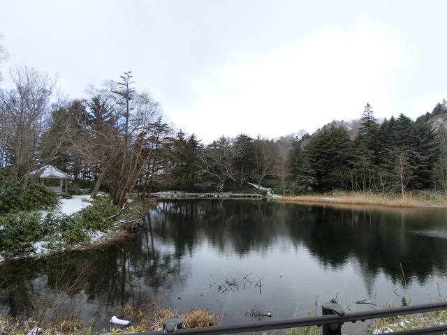 20171112_082621_CIMG6853
