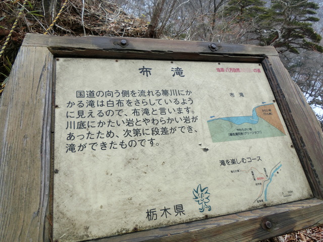 20180225_100121_CIMG8314