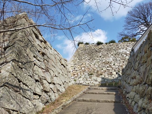 IMG20210310110026