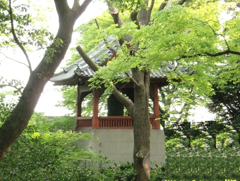 20100509_161843_CIMG0392_01