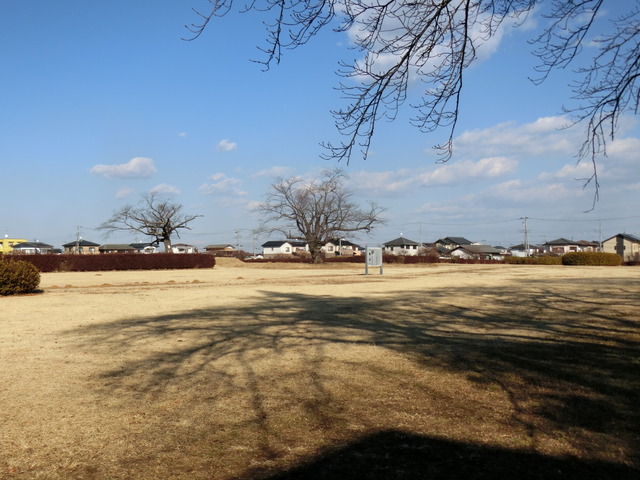 20190127_135201_CIMG5970