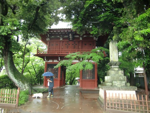 20130616_094710_CIMG1746