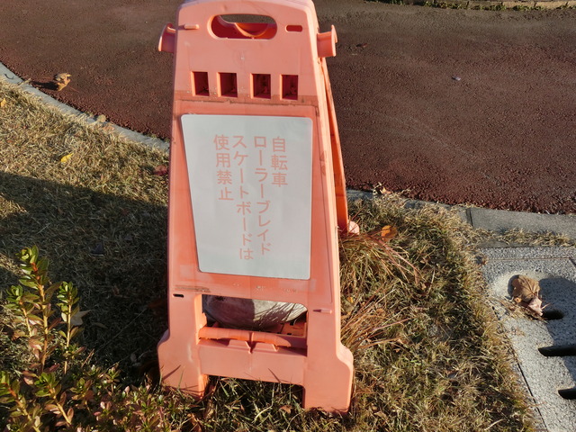 20191116_074726_CIMG7270