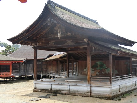 CIMG1302