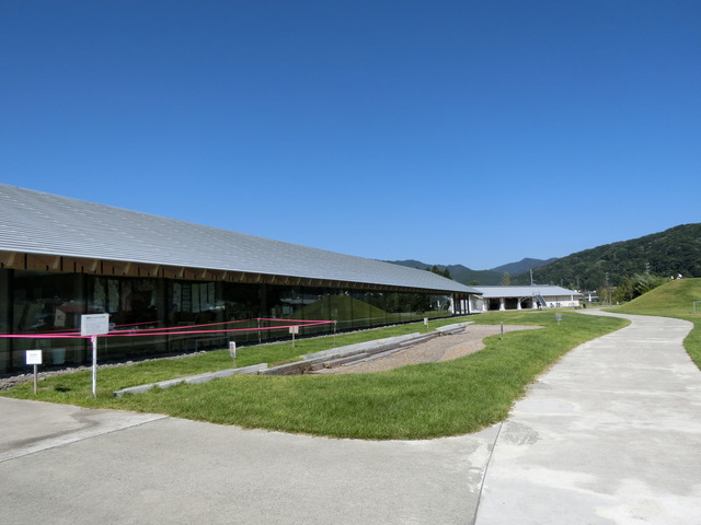 20200820_142451_CIMG3162