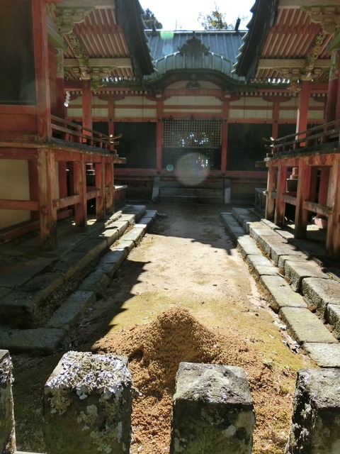 CIMG0367