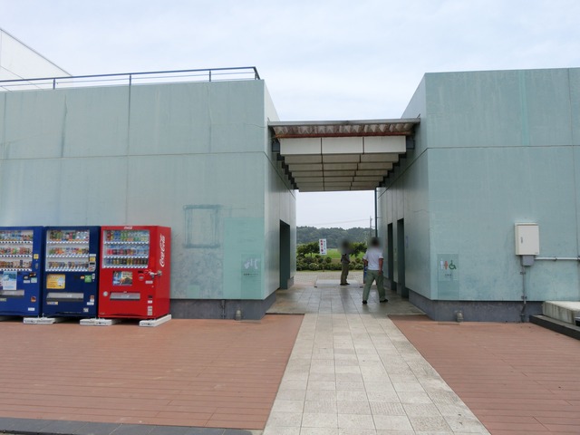 20180609_115432_CIMG0263