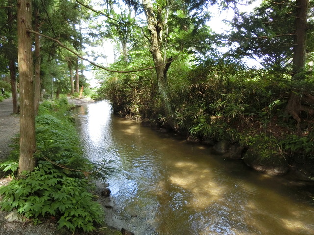 20190718_085735_CIMG4349