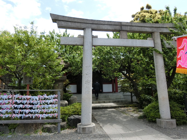 20190507_110648_CIMG1398
