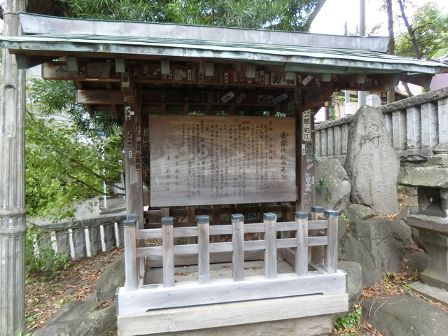 20190921_154024_CIMG5811
