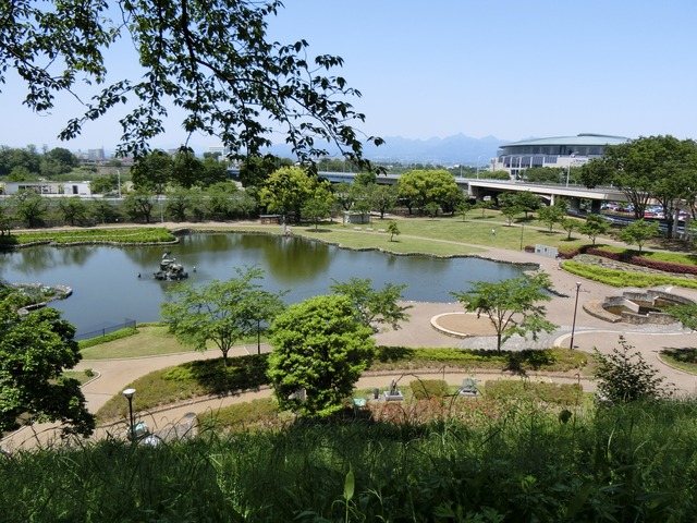 CIMG0226 (1)