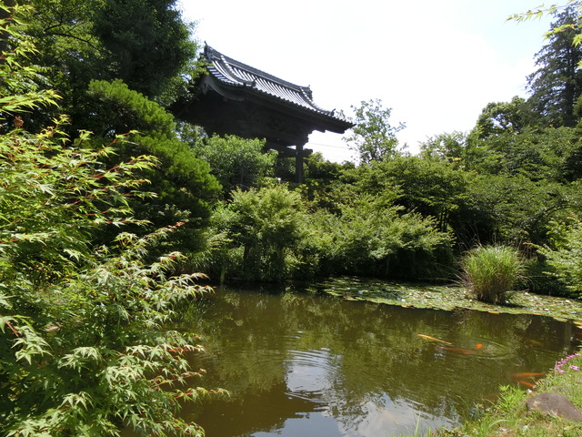 20180609_102926_CIMG0228