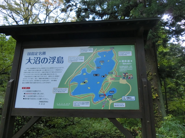 20191020_084603_CIMG6330