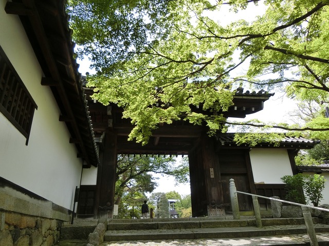 20190503_110857_CIMG0866