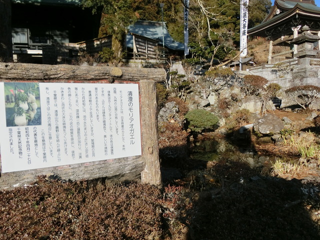 20190202_152600_CIMG6250
