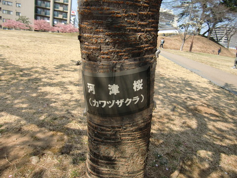 20170320_101507_CIMG6621