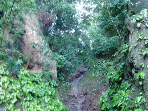 20160827_144344_CIMG7922