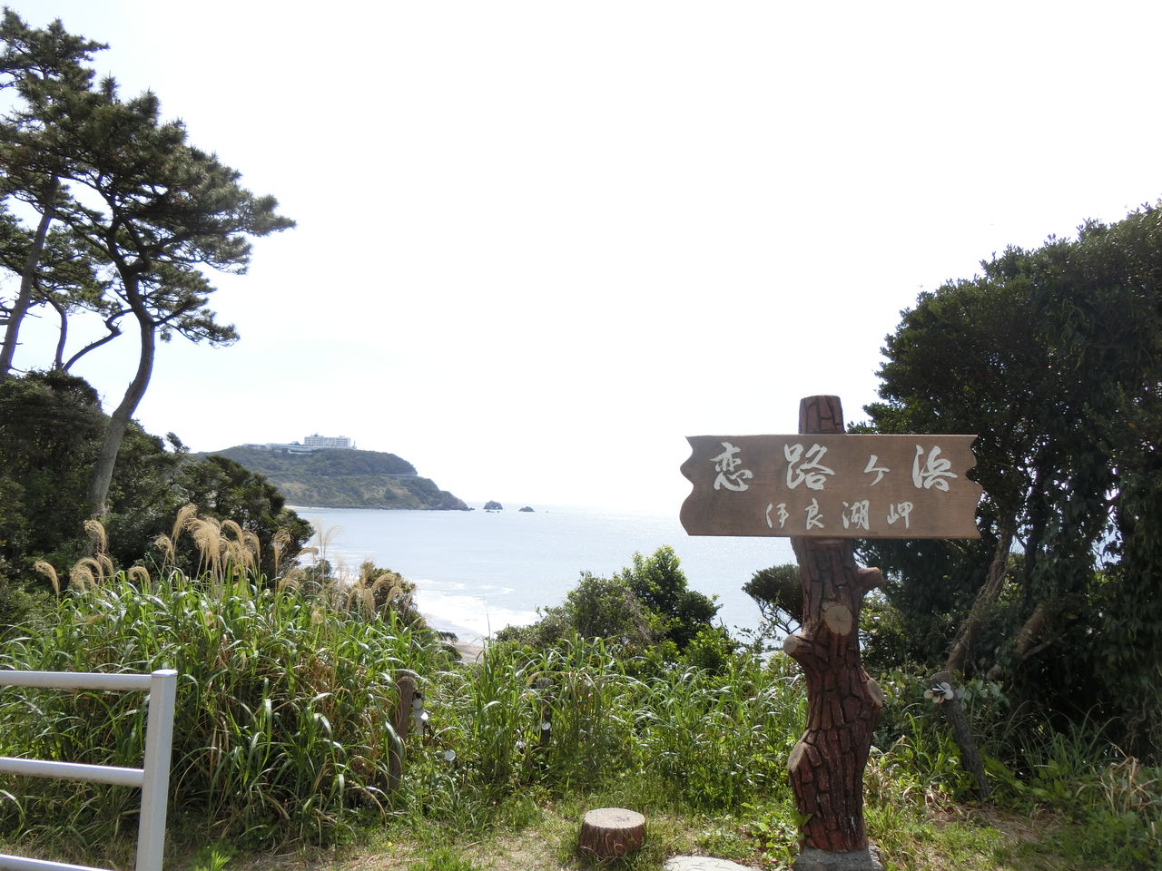 19 4 28 日 恋路ヶ浜 愛知県 ウシ子とウシ夫の牛歩旅 19 4 28 日 恋路ヶ浜 愛知県 ウシ子とウシ夫の牛歩旅