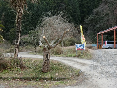 CIMG0266