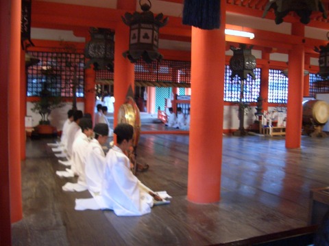 20090726_093607_CIMG2115