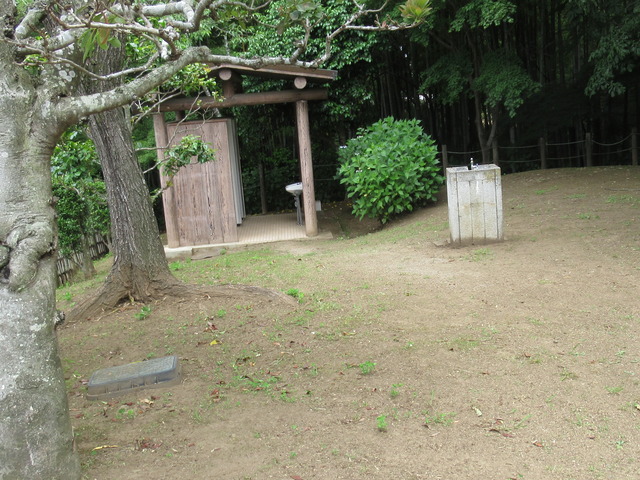 20210612100059_IMG_5880 (1)