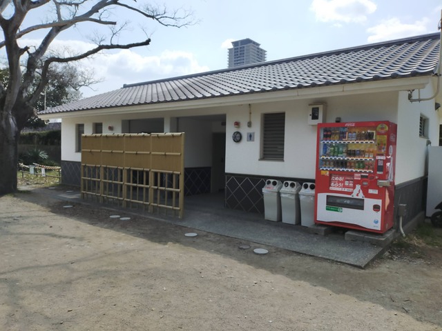 IMG20210310105623