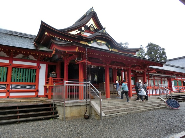 20190430_144905_CIMG9919