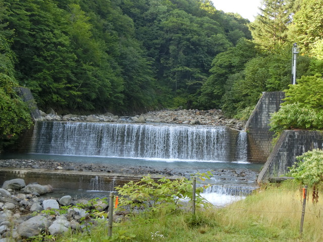 20200821_072139_CIMG3293