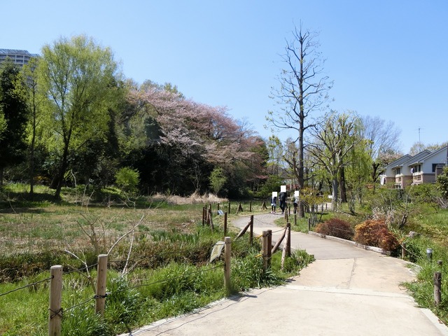 20190413_122017_CIMG8241