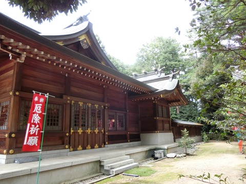 CIMG2981