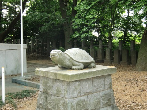20130519_122945_CIMG1685