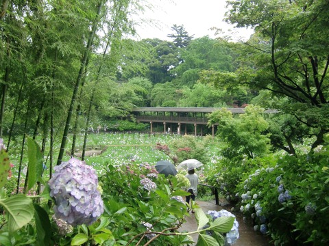 20130616_100309_CIMG1757