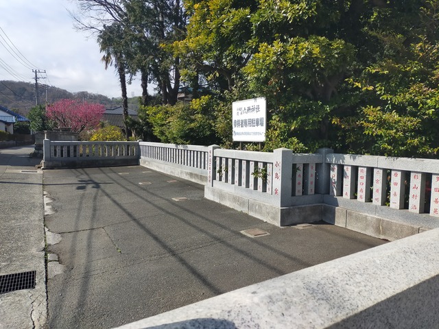 IMG20210309131804