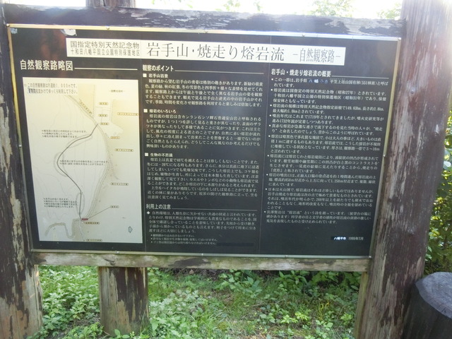 20200820_175450_CIMG3240