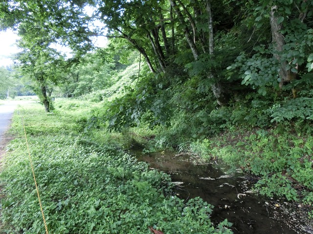 20190711_065906_CIMG1967