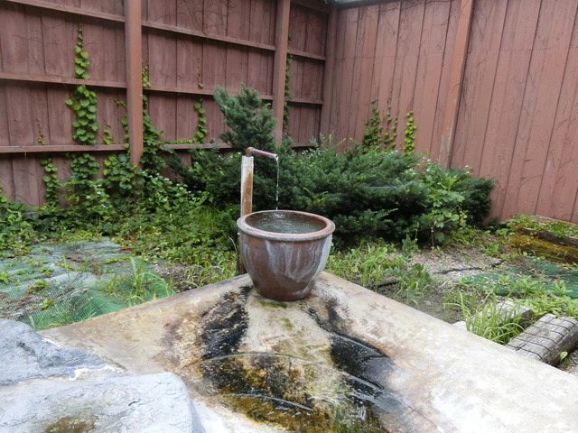20190711_065253_CIMG1959