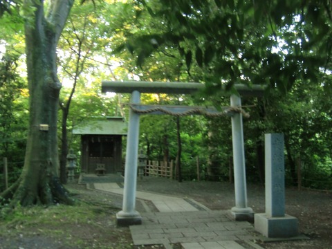 20140614_050318_CIMG3041