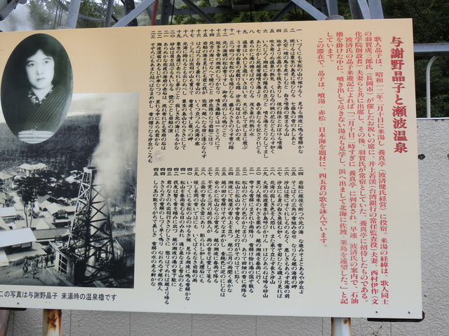 20190712_102315_CIMG2450